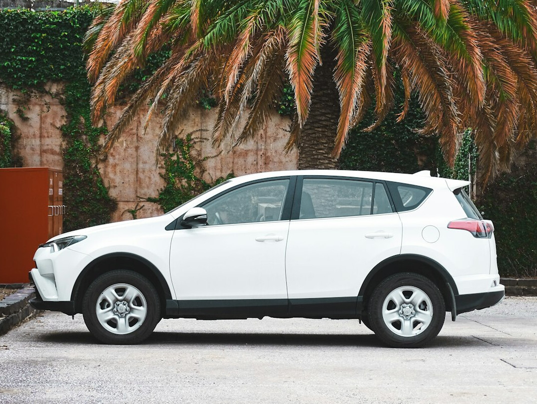fleet of rental cars